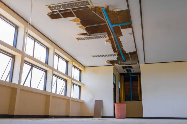 Best Local water damage restoration  in Burlington, WI