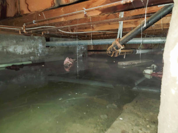 Best Ceiling water damage repair  in Burlington, WI