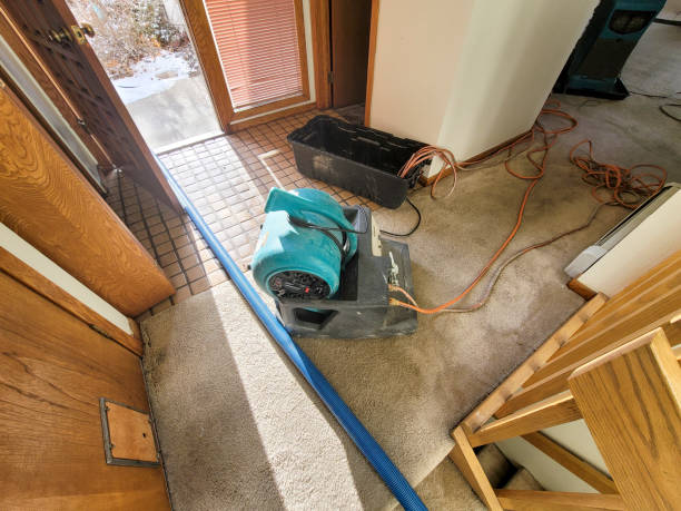 Best Water damage cleanup near me  in Burlington, WI