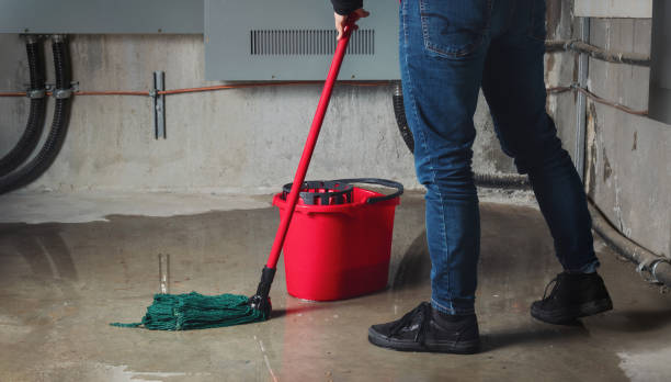 Best Flood damage cleanup  in Burlington, WI